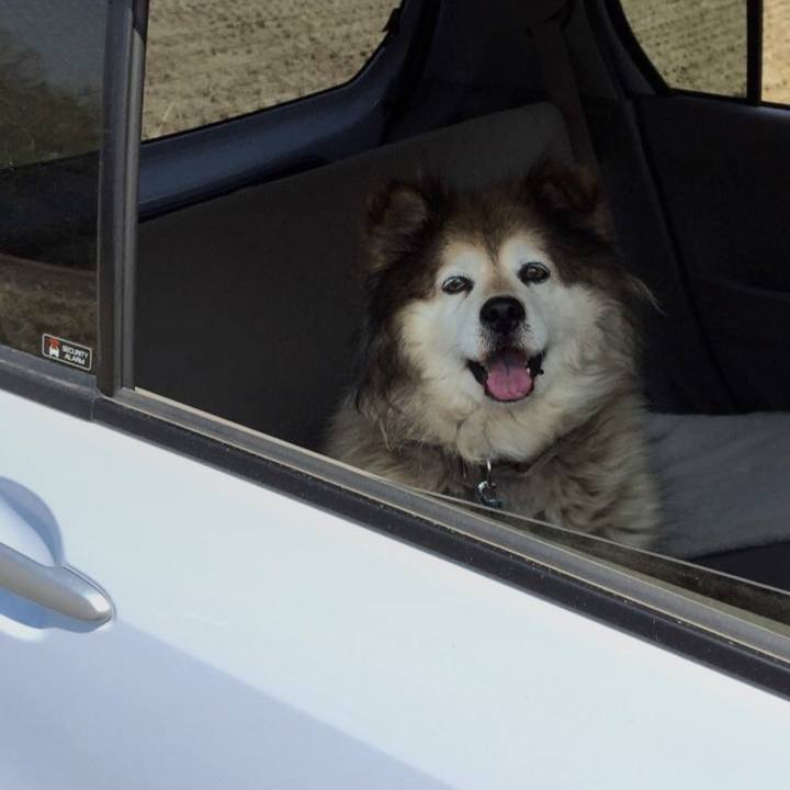 F6ccf025 3a49 42c1 ba5b 34023d7acbc2 1561932227060