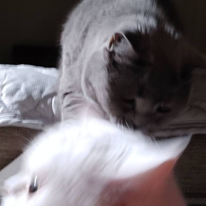 F6ccf51f 7425 4289 bae8 a9a6b7261c03 1696687782687