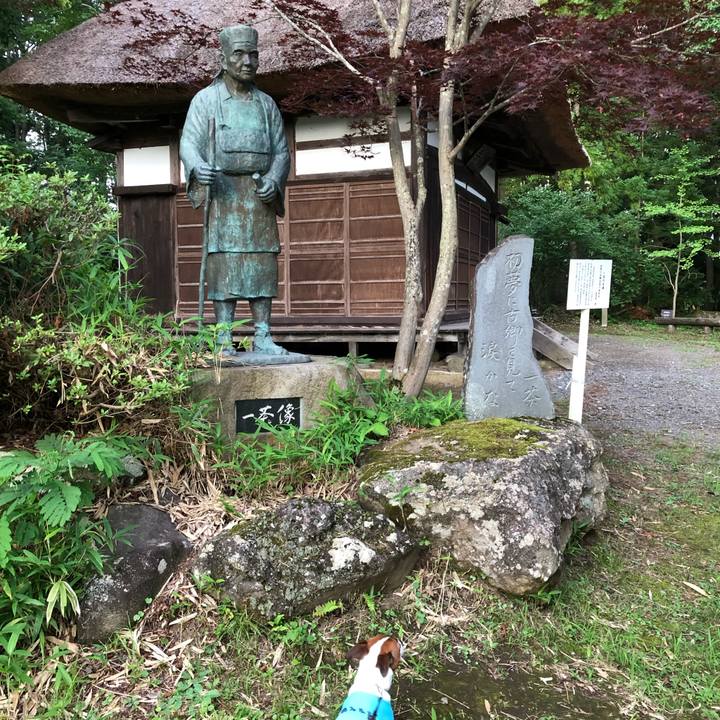 F6cd64ed 2333 41fa a6ef 70b6dc586ad3 1565176168626