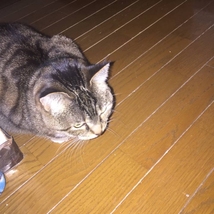 F6cd8493 8440 442d abce b746cf9064cc 1547591700052