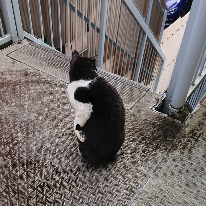 F6cdca3c 1bb3 4387 bf51 674c1349a5c4 1602975772335