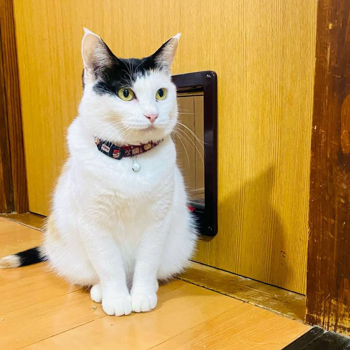 F6cdfdfc 2b68 4e8d 9c27 64865df98b50 1663711285685