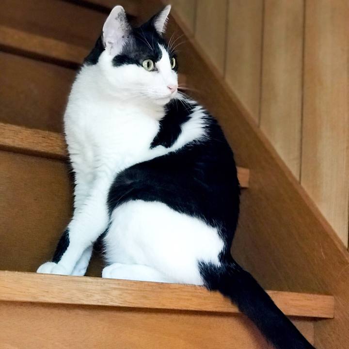 F6ce296f 8012 433a a9a2 003bdde93631 1531748685800