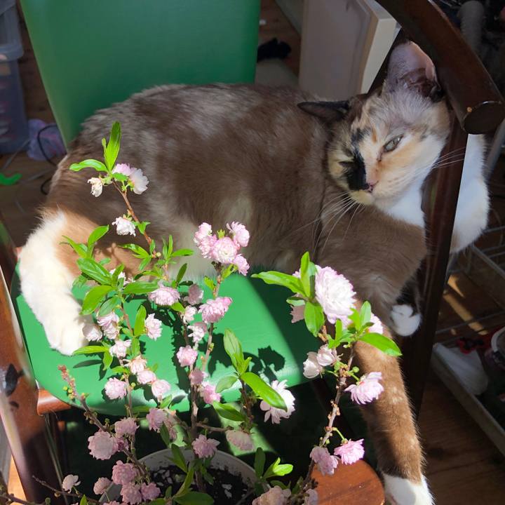 F6ce41a5 11c6 4239 bc9b bd4521ef2c9d 1774541738481