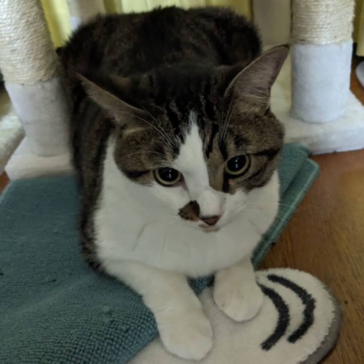 F6ce5eed d68f 4c60 a9a9 5116936351c0 1689431941739