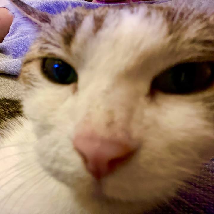 F6ce8648 0b37 42d5 9280 a8e7ba9ad00d 1627296813429