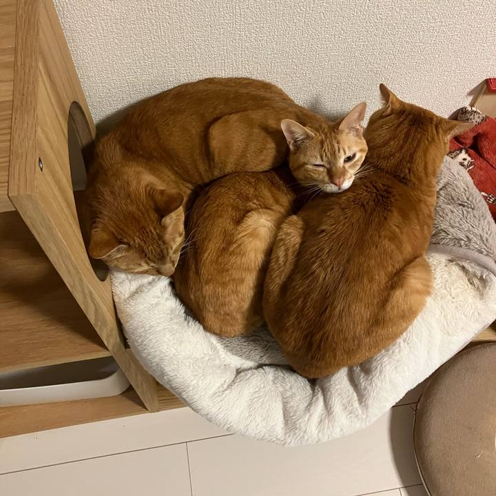 F6ce9111 0b22 4633 a871 a9ec007956d5 1770468326388