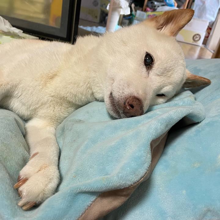 F6ced211 1690 43dd 9367 9037504a60ca 1659527269164