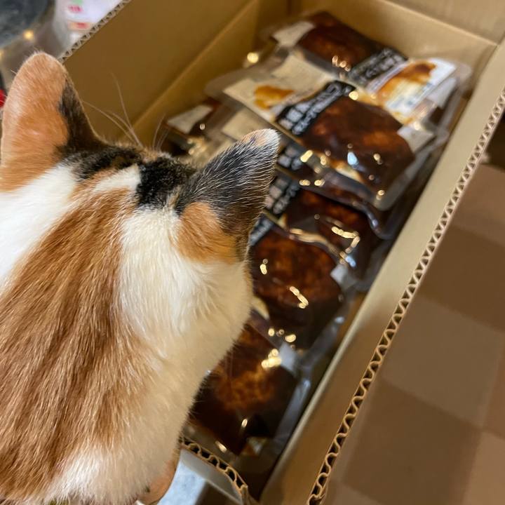 F6cf1abf 3f10 4732 bf57 4b71529c2796 1642680498657