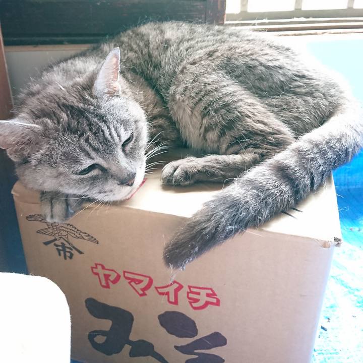 F6cf209c 3f95 4dbd 9a98 e24cb7cb8035 1565395656029