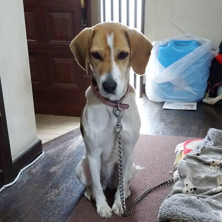 F6cf7222 afbd 4b5d 9a6e 9da627f0ea33 1581058035656