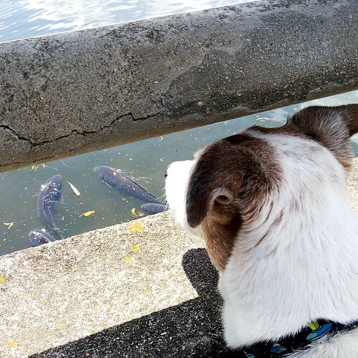 F6d0104d 9660 499c 98c1 754929b7ef2a 1556350872998