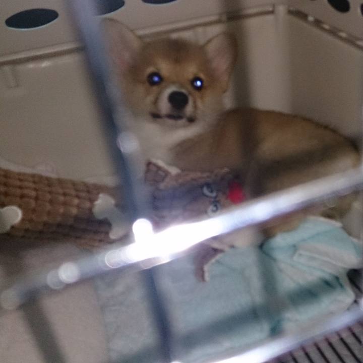 F6d0137d b53c 4741 8743 c4e627f5cb1b 1689652134854