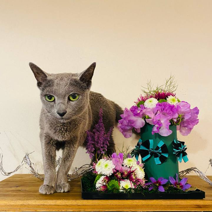 F6d044df 8e63 434f bcaa 73b6d046f5af 1611544665980