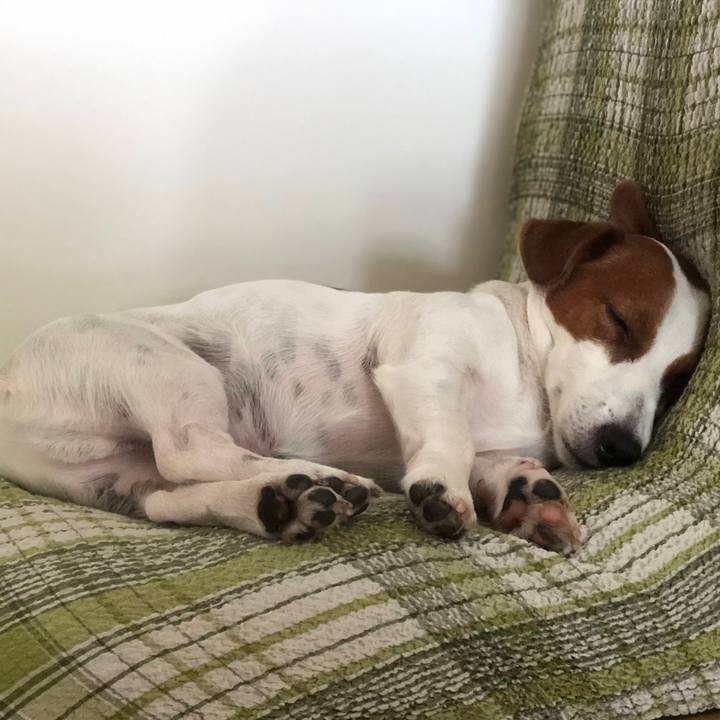 F6d05914 4f51 4e32 bca6 d359423a09c9 1561015668395