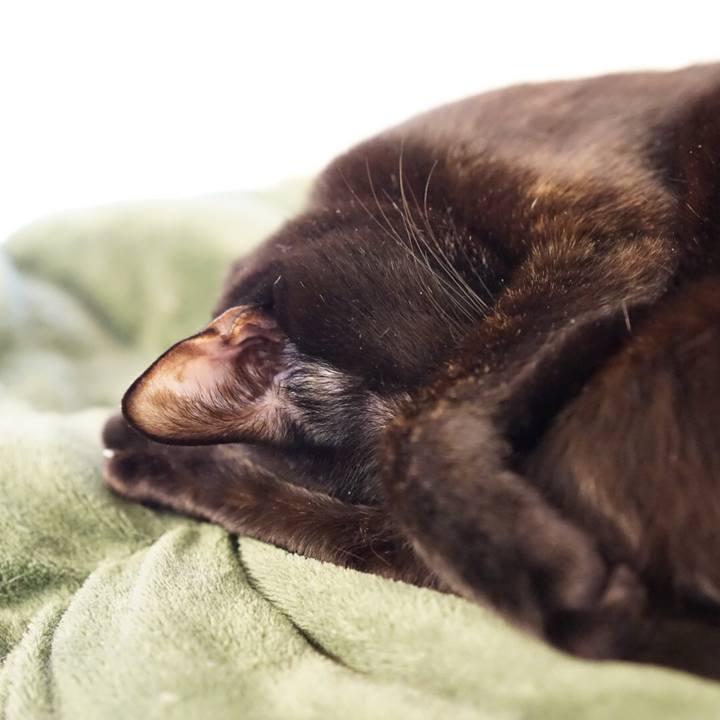 F6d08c06 05a8 4683 b4e3 49ede3e65d77 1550015607252