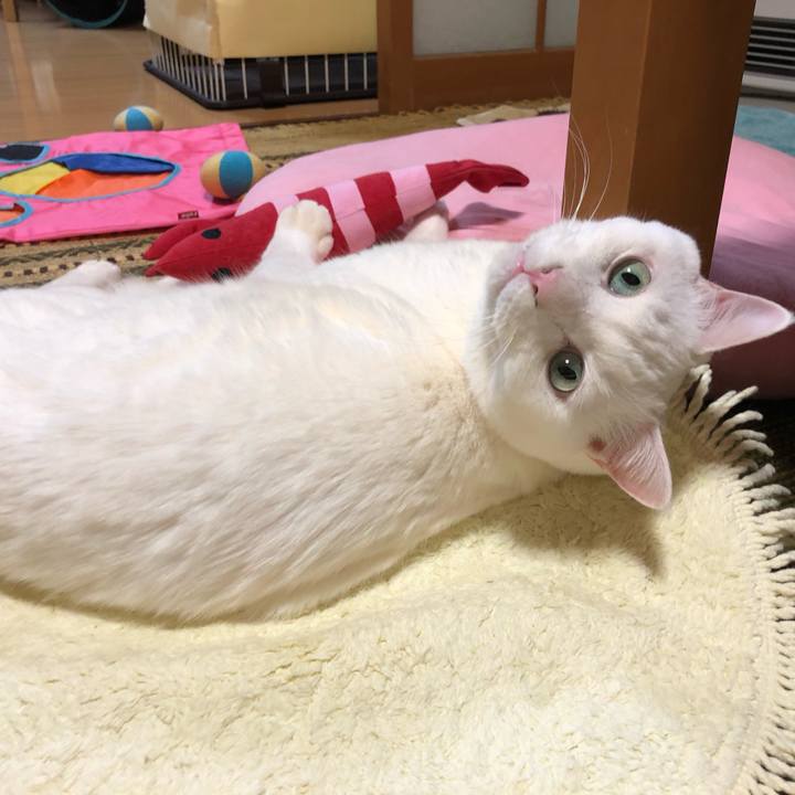 F6d0966a 452e 4d8f a1ed 06a5cfd8eca1 1612779747957