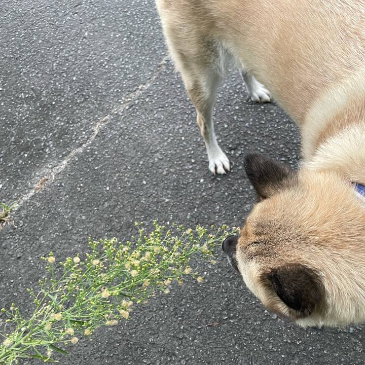 F6d0c0a9 46c0 4364 a831 11b915cba8d7 1661342937069