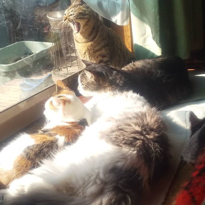 F6d11fb5 5e81 453a b12e 8715227a01e8 1675923198968