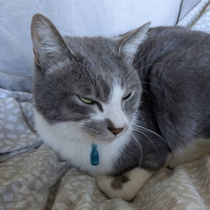 F6d15f42 f7bb 4393 b146 03ee87459004 1764205702146