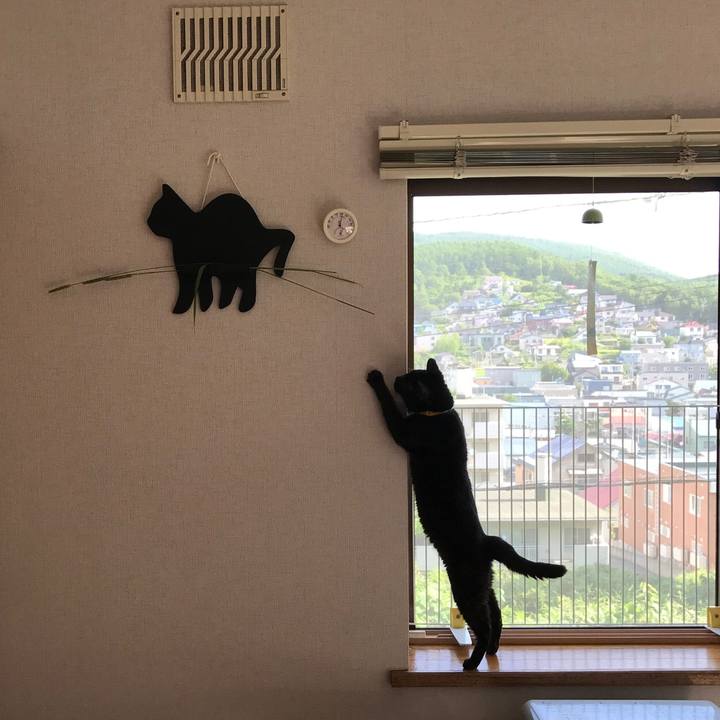 F6d163d4 8af5 42cc aad9 dc5dacbba5ed 1566106039081