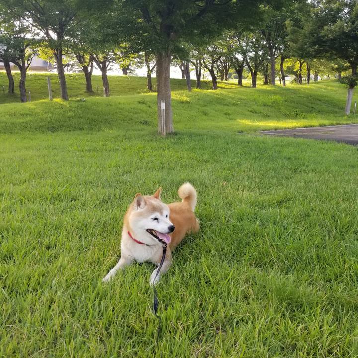 F6d1712a bea9 491d 929f 37c85bed5101 1721636700506