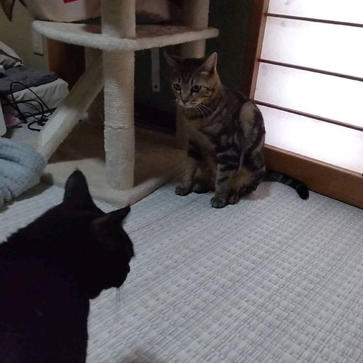 F6d18824 4048 4620 9b51 3b384301f7b6 1700818267734