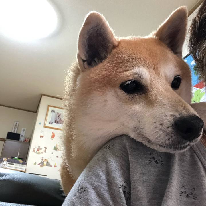 F6d18b26 42ff 4504 8c8b fe853ce4d6f5 1563841920654