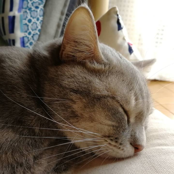 F6d19e84 b2e3 4b52 b34b 5fde0be3f81e 1537688340680