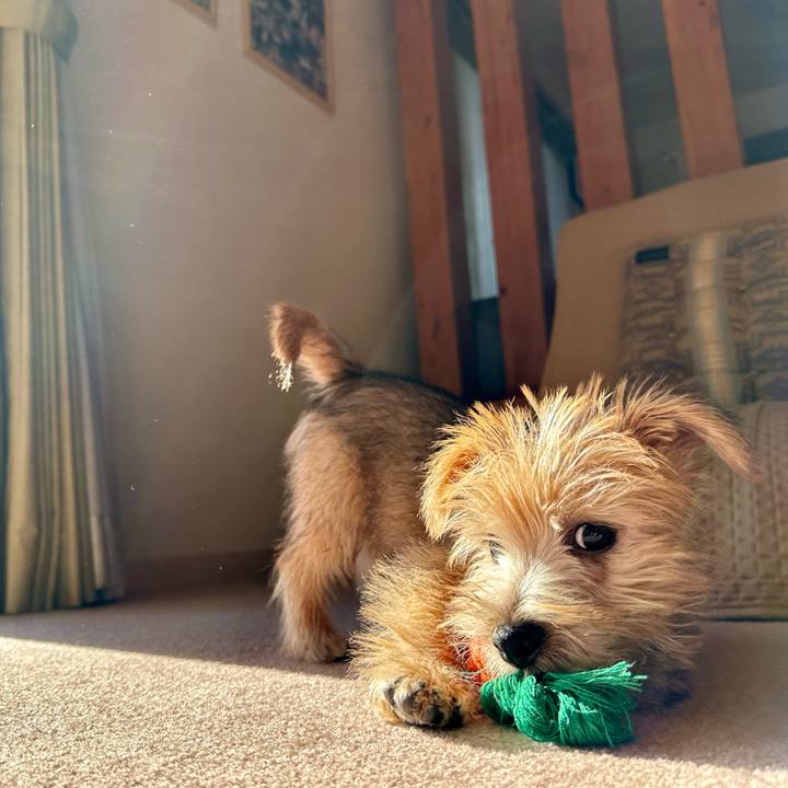 F6d1d3cb 7359 4243 82e5 55bf74d823f1 1702806564064