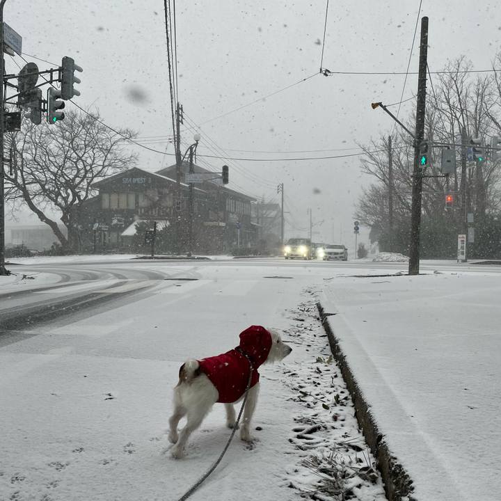 F6d1ec68 3546 4f63 b7f8 1c822ccbf7fc 1612739543610