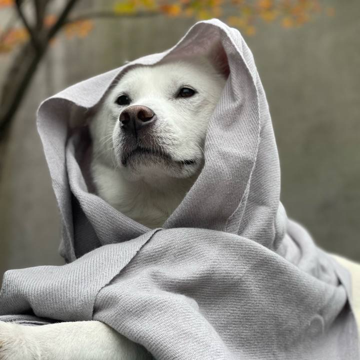 F6d1f4d8 7b0f 4384 96c0 25f360c65148 1701338403468