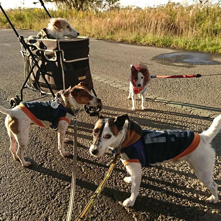 F6d20b73 5e3d 41c2 a214 13ed985fb3cc 1575450623433