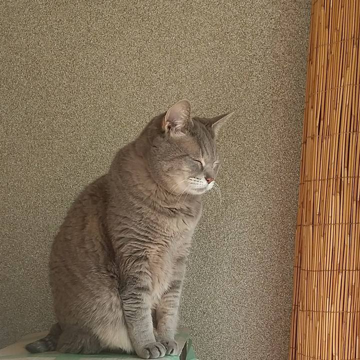 F6d236aa 66df 430f b53d 5d385bb37aa7 1647650994971