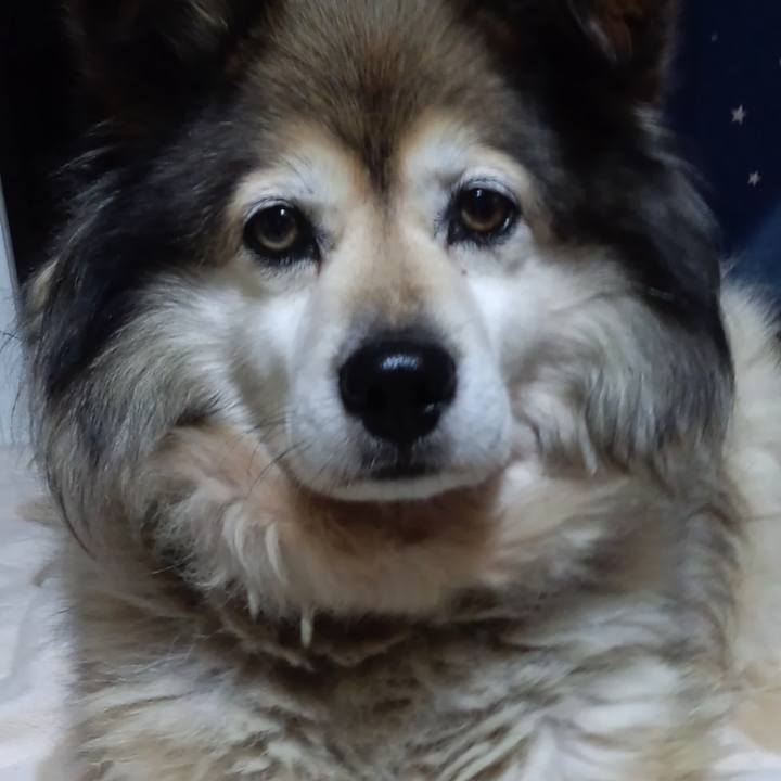 F6d28a39 fb55 46d5 b759 d33a4afdfb5e 1601897747937