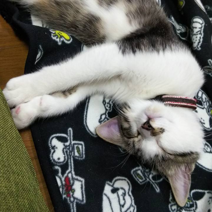 F6d2b72d 926a 4e74 8bfe 5a722d4aff1c 1614942675062