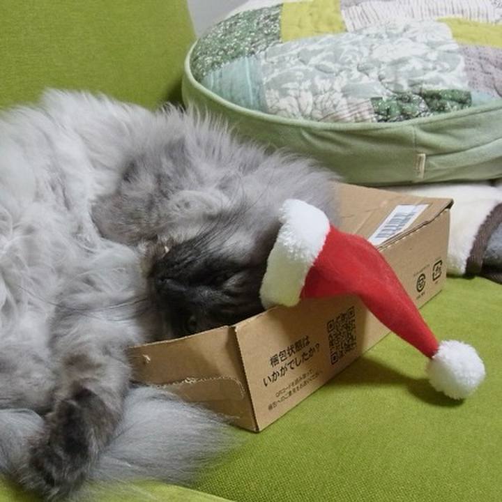 F6d2cf1c b1a7 4c90 a141 4cff967eb595 1721436103862