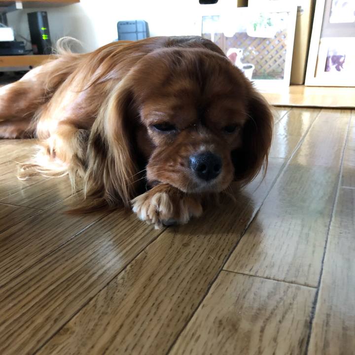 F6d2f583 3a9b 47a1 8ef9 f6993256b5f5 1562485459385