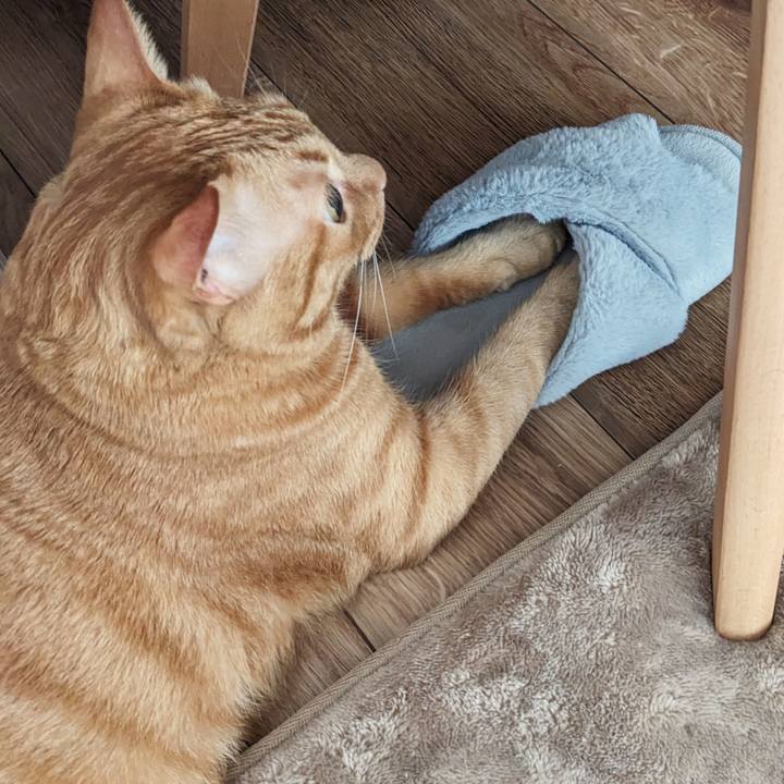 F6d2f761 3d98 4154 8400 a57d2b155b82 1689828892313