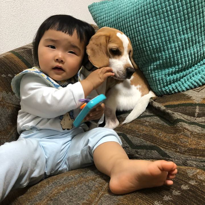 F6d30575 b5d6 4dba a07f 924325ba41c0 1636529891594