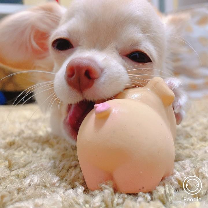 F6d307e2 b480 40aa 96c4 6d1c3f0c59cd 1602904666825