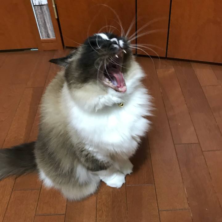 F6d3825a 7e45 484f 9b84 204d2efb43c9 1520548034683