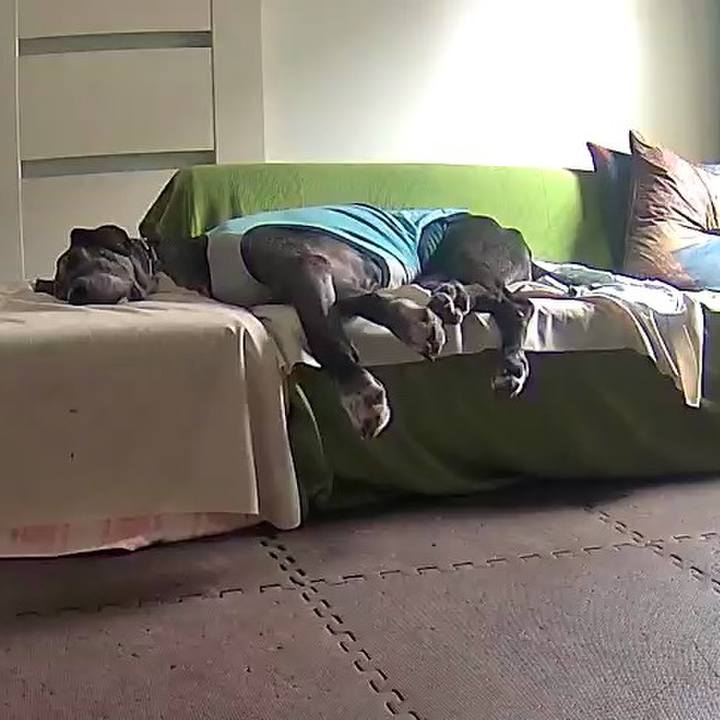 F6d39126 eb74 4245 8b73 abf5ed242b28 1663986536464