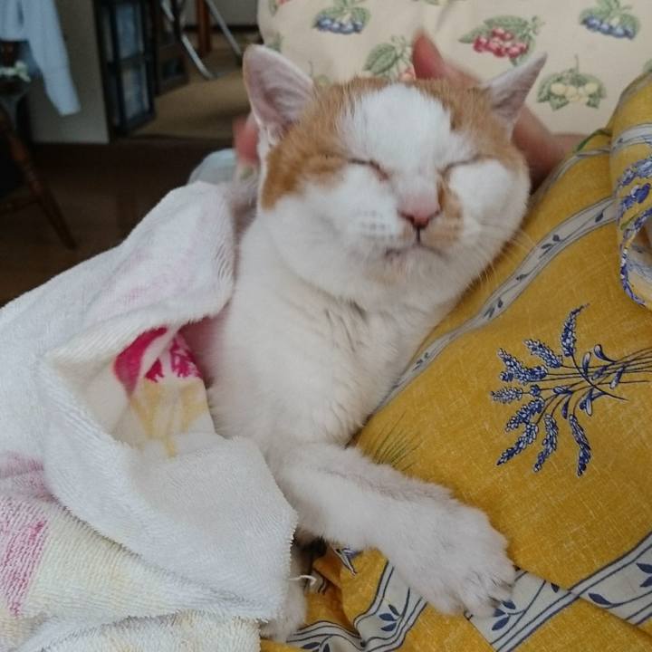 F6d3ab68 b308 4404 99f2 35e771cbdd2a 1525070864313