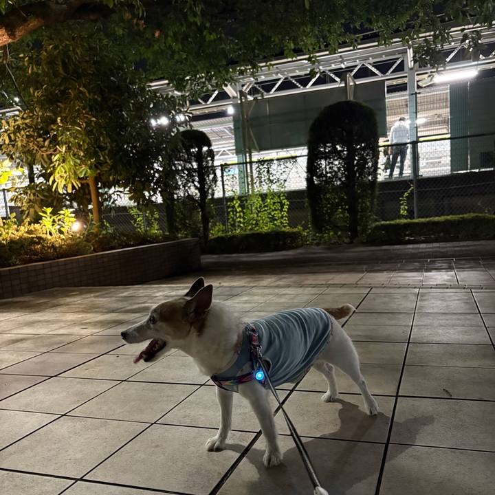 F6d3d049 7b1a 4625 bf1a e84350b4dded 1754700317981