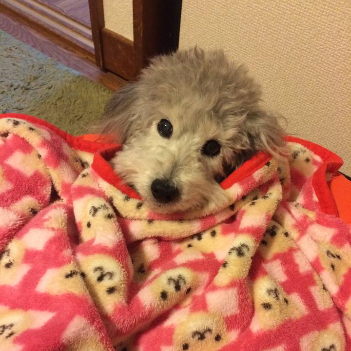 F6d3dc39 94de 4570 9de6 3d62d5c1138c 1518649832799