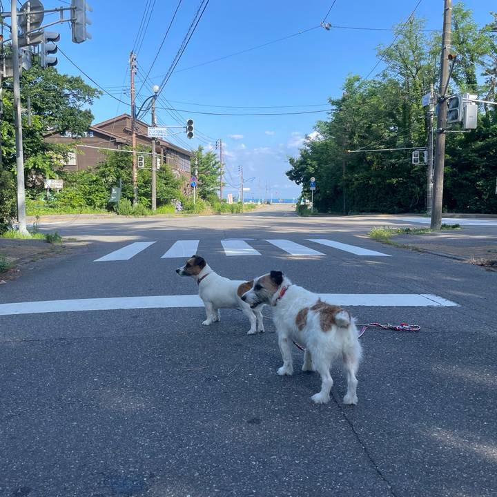 F6d3defb 57de 4b2e 9f80 1bdf767bdc82 1720308132539