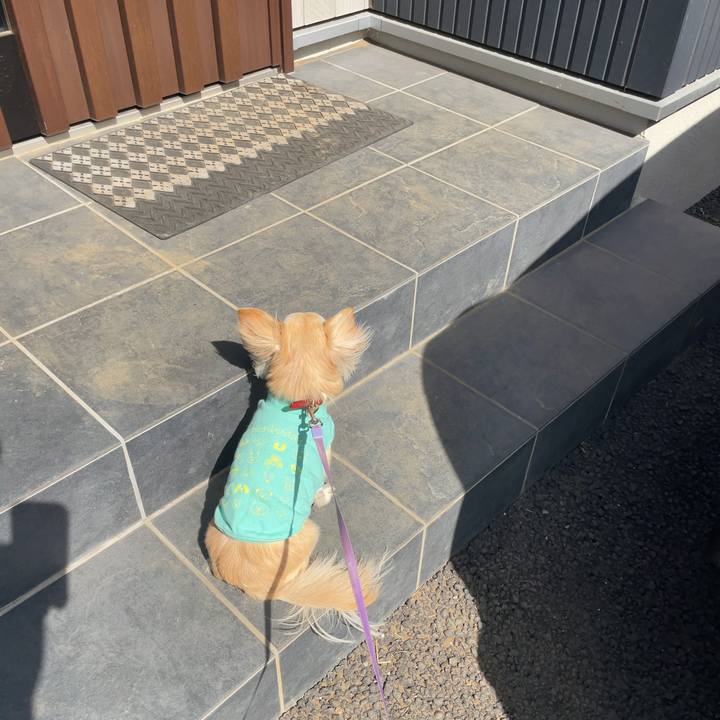 F6d3f13d 616e 4173 a4c0 bbf1cd2c9751 1646565022151