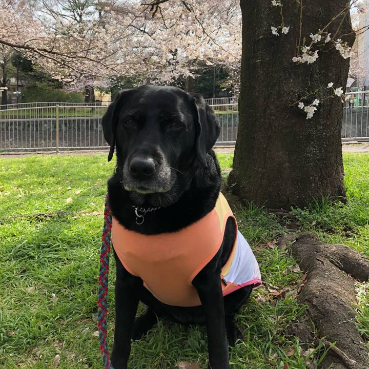 F6d42fad dc53 4a30 b2b6 ae26af8b540a 1522030604642