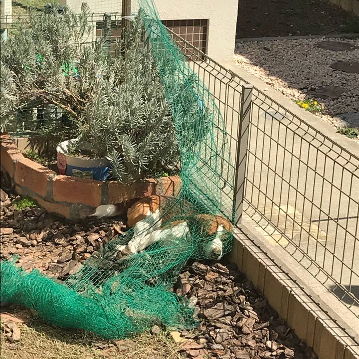 F6d43a9e 1ac7 4556 afd5 296c83b07c93 1523161057766